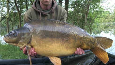 A 33 lb 8 oz carp from Villefond, terry brown, May 2017