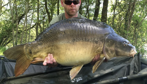 A 36 lb 8 oz carp from Villefond, terry brown, May 2017