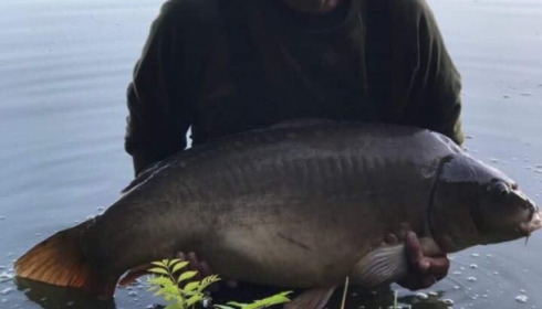 A 43 lb 7 oz carp from Villefond, Minky spawned out, Jul 2017