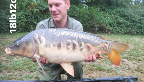 A carp from Villefond, Oct 2017