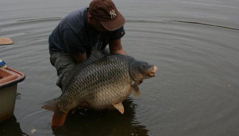 A 47 lb 8 oz carp from Villefond, Arther, Sep 2010
