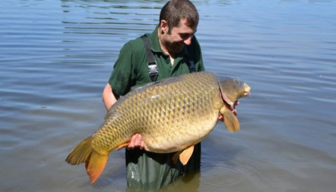 A 50 lb 2 oz carp from Villefond, BIG JOHN, May 2011