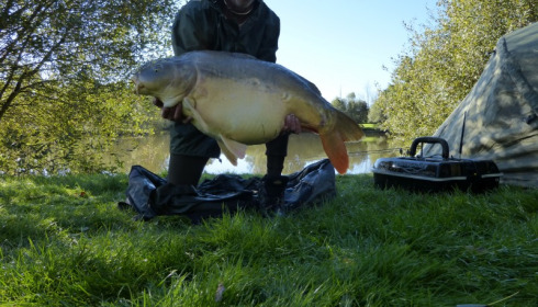 A 44 lb carp from Villefond, The DIY Ghostie, Oct 2013