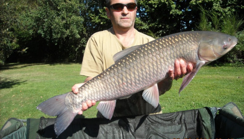 A 21 lb grass carp from Villefond, Sep 2014
