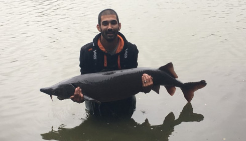 A 58 lb sturgeon from Villefond, Captain Sherman , Sep 2017
