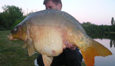 A 36 lb carp from Villefond, Jul 2010