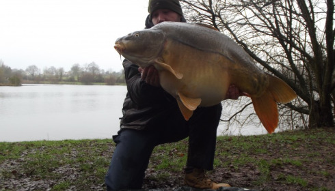 A 36 lb carp from Villefond, Mark Lambert, Jan 2013