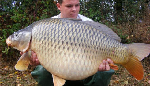 A 38 lb 4 oz carp from Villefond, Oct 2010
