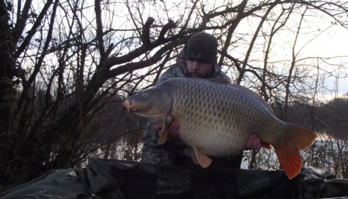 A 39 lb 4 oz carp from Villefond, The Fat Common, Dec 2015
