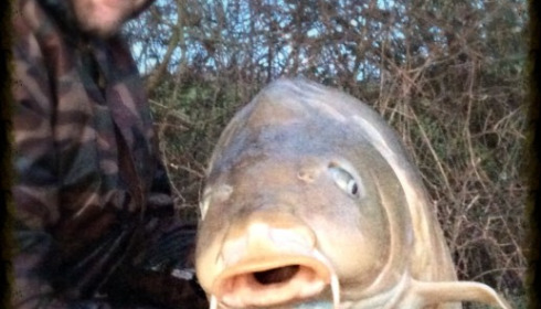 A 54 lb 5 oz carp from Villefond, Mark Lambert, Feb 2014