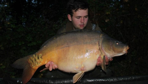 A carp from Villefond, Sep 2014