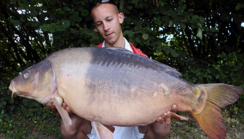 A 45 lb 8 oz carp from Villefond, A spawned out Long Two tone, Aug 2013