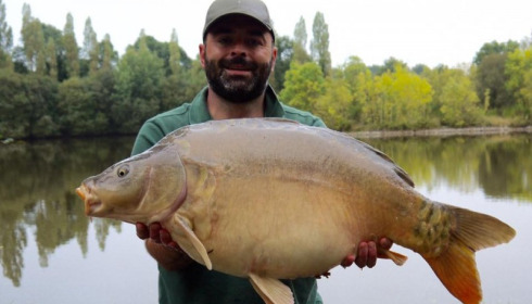A 36 lb carp from Villefond, Oct 2016