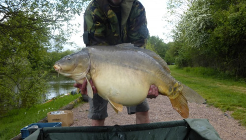 A 52 lb 8 oz carp from Villefond, Slate Grey the fish , Apr 2014