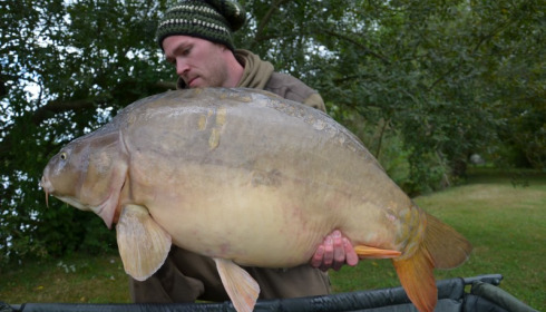 A 38 lb 4 oz carp from Villefond, Rose the fish heavily spawned out, Aug 2014