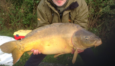A 31 lb carp from Villefond, Nov 2013