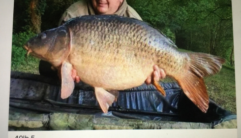 A 40 lb 5 oz fish from Villefond, Common, Aug 2021