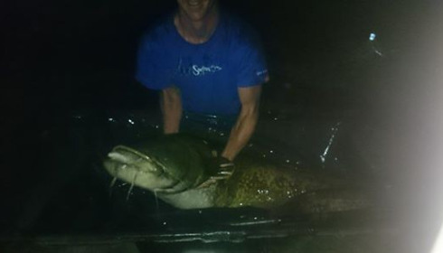A 82 lb catfish from Villefond, Jul 2014