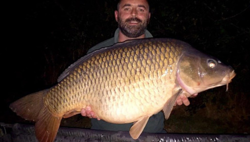 A 34 lb 8 oz carp from Villefond, fat common, Oct 2016