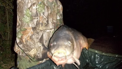 A 47 lb carp from Villefond, Single scale, Oct 2017