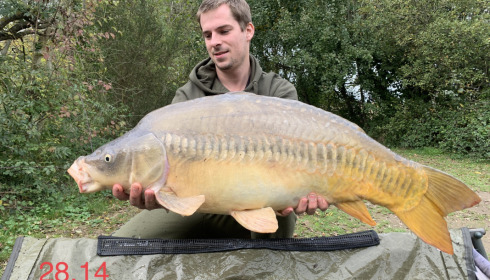 A fish from Villefond, Oct 2022