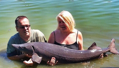 A 63 lb sturgeon from Villefond, Captain sherman, Jul 2017