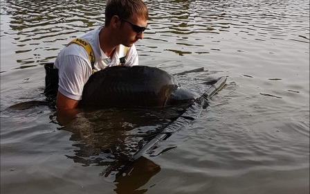 A 69 lb 2 oz carp from Villefond, Aug 2018
