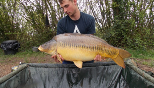 A 30 lb 10 oz carp from Villefond, Apr 2016