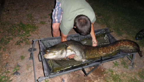 A 94 lb 12 oz catfish from Villefond, Martin Day, Jul 2016