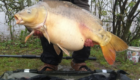 A 47 lb carp from Villefond, Max the fish, Apr 2012