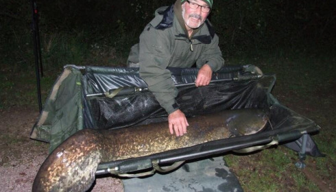 A 88 lb 8 oz catfish from Villefond, Sep 2015