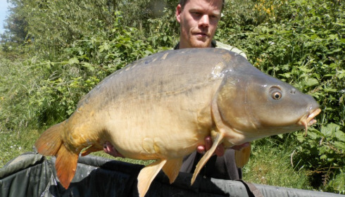 A 34 lb 8 oz carp from Villefond, Spawned out, Jun 2015