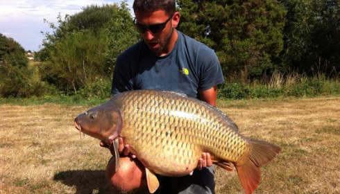 A 39 lb carp from Villefond, Aug 2013