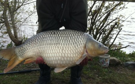 A 44 lb 8 oz carp from Villefond, Little John the fish, Apr 2012