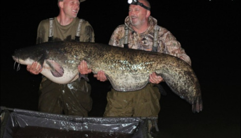 A 100 lb catfish from Villefond, Clive Dodd, Sep 2018