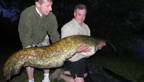 A 63 lb catfish from Villefond, Apr 2011