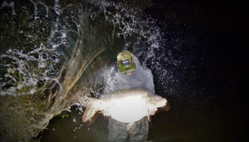 A 46 lb 8 oz carp from Villefond, New personal best , Nov 2019