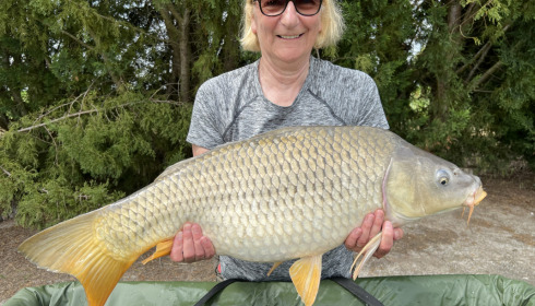 A fish from Vincons, Apr 2023