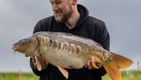A carp from Vincons, May 2023