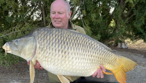 A fish from Vincons, Apr 2023
