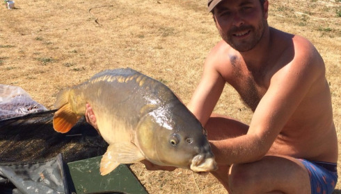 A carp from Vincons, Aug 2016
