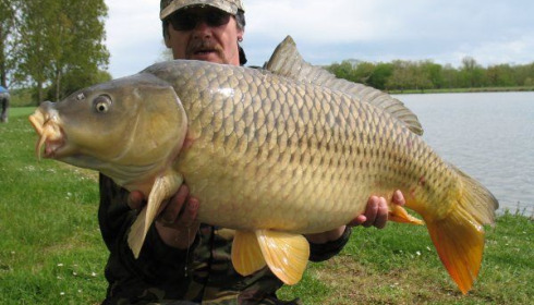 A carp from Vincons, Steve & Alan, Apr 2008