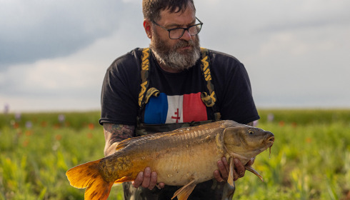 A carp from Vincons, Jun 2023