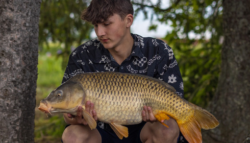 A carp from Vincons, Jun 2023