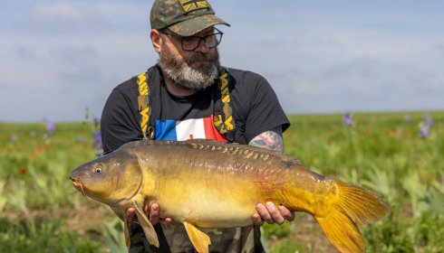 A carp from Vincons, Jun 2023