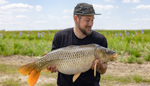 A carp from Vincons, Jun 2023
