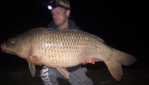 A carp from Vincons, Aug 2016