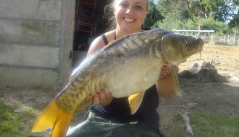 A carp from Vincons, Berridge party, Aug 2011