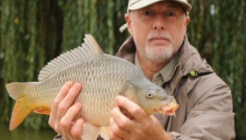 A carp from Vincons, Bill Hall, Sep 2012