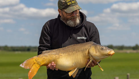 A carp from Vincons, Jun 2023